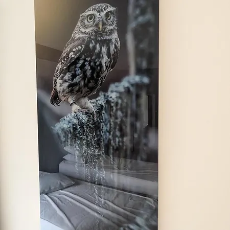 Ferme De La Cheveche & Jacuzzi Namur *